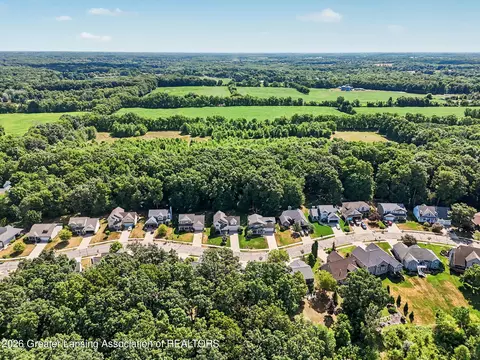 View/Area - 2047 Arbor Meadows Dr, Dewitt, MI 48820 photo 4 of 7