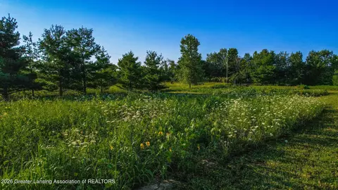 4975 W Cutler Rd, Dewitt, MI 48820 photo 10