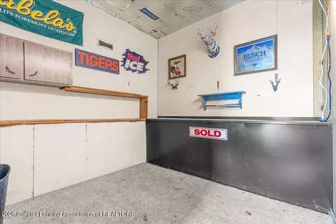 Other - 12367 Dow Rd, Sunfield, MI 48890 photo 9 of 9