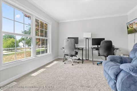 Other - 11592 Sara Ann Dr, Dewitt, MI 48820 photo 1 of 17