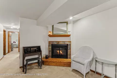 Other - 471 Windrock Ln, Dimondale, MI 48821 photo 11 of 12