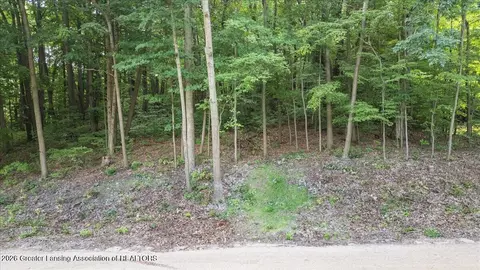 Other - 8350 Spring Rd, Stanton, MI 48888 photo 21 of 22