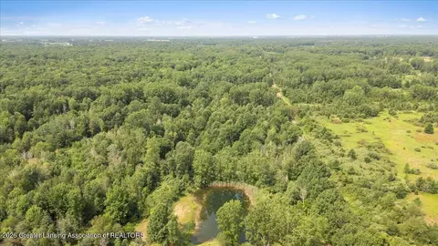 0 E Garfield Rd, Ashley, MI 48806 photo 4