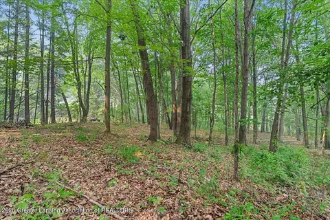 Other - 10222 Red Bud Dr, Haslett, MI 48840 photo 20 of 20