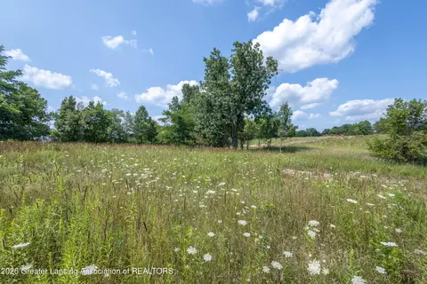 0 Bauer Rd, Eagle, MI 48822 photo 12