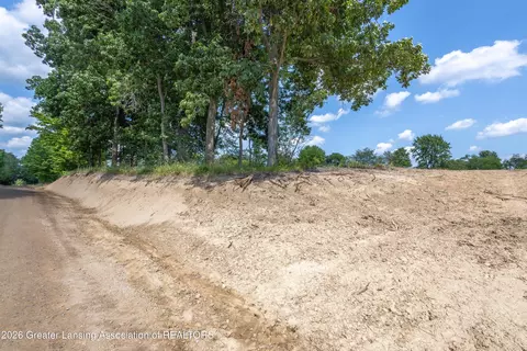0 Bauer Rd, Eagle, MI 48822 photo 16