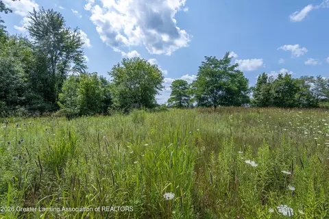 0 Bauer Rd, Eagle, MI 48822 photo 11