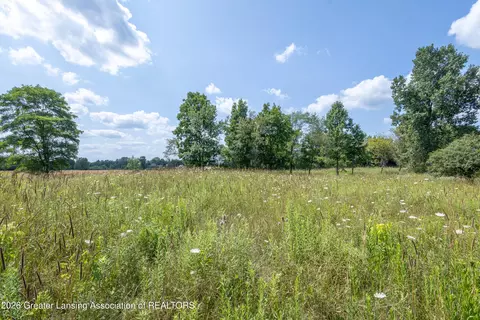 0 Bauer Rd, Eagle, MI 48822 photo 13