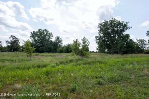 0 Bauer Rd, Eagle, MI 48822 photo 9