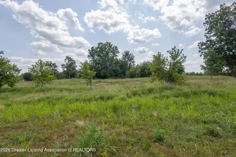 0 Bauer Rd, Eagle, MI 48822 photo 10