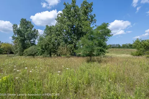 0 Bauer Rd, Eagle, MI 48822 photo 14