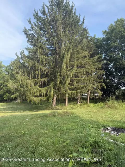 Other - 12470 Wacousta Rd, Eagle, MI 48822 photo 6 of 9