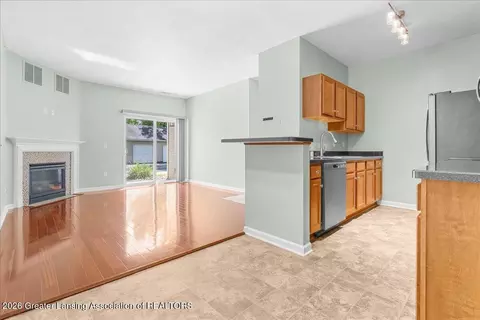 Other - 15120 Via Carmella Dr, Dewitt, MI 48820 photo 14 of 16