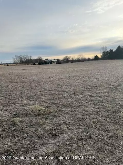 0 S Watson Rd, Saint Johns, MI 48879 photo 6