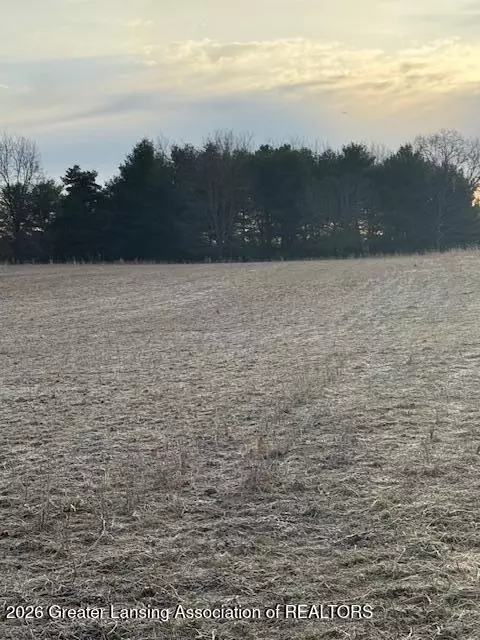 0 S Watson Rd, Saint Johns, MI 48879 photo 5