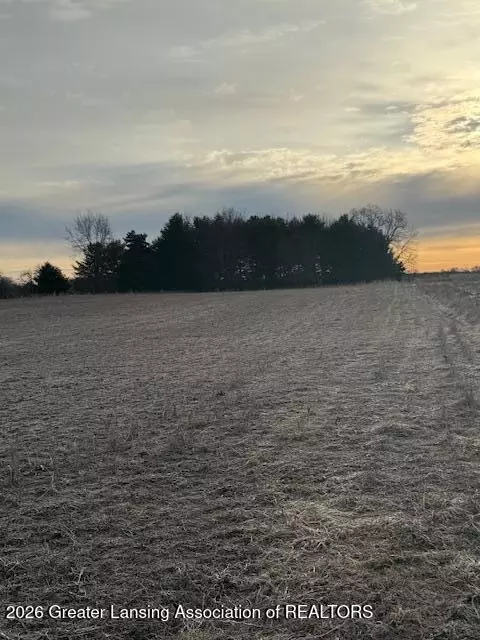0 S Watson Rd, Saint Johns, MI 48879 photo 3