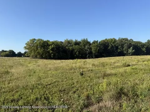 12280 S Wacousta Rd, Eagle, MI 48822 photo 5