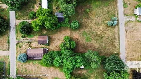 View/Area - 309 Burgess St, Lyons, MI 48851 photo 1 of 3