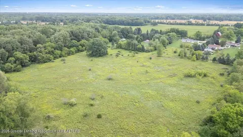 View/Area - 10586 Williams Rd, Dewitt, MI 48820 photo 6 of 8