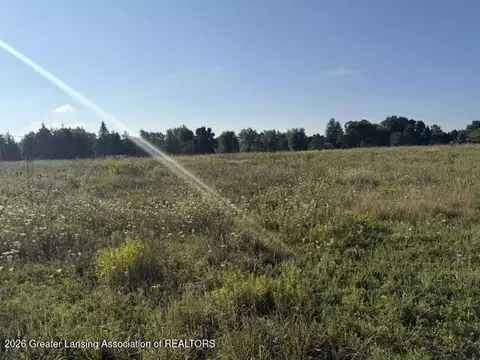 12260 S Wacousta Rd, Eagle, MI 48822 photo 8
