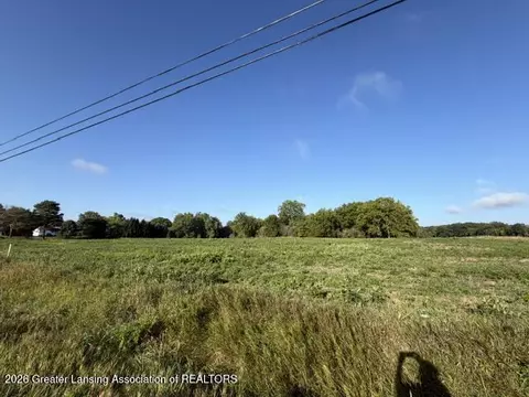 12260 S Wacousta Rd, Eagle, MI 48822 photo 6