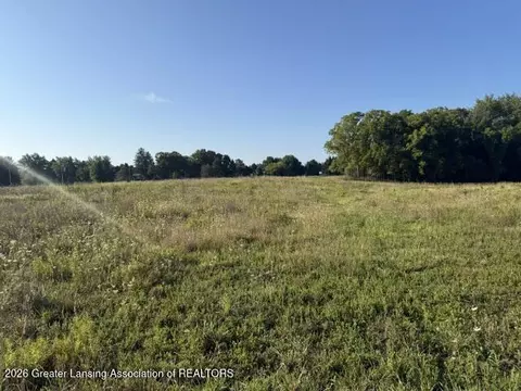 12260 S Wacousta Rd, Eagle, MI 48822 photo 4