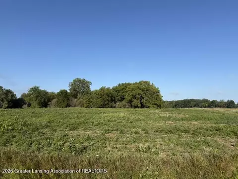 12260 S Wacousta Rd, Eagle, MI 48822 photo 9