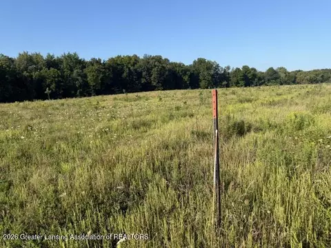 12260 S Wacousta Rd, Eagle, MI 48822 photo 3