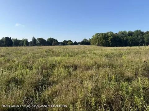 12260 S Wacousta Rd, Eagle, MI 48822 photo 2