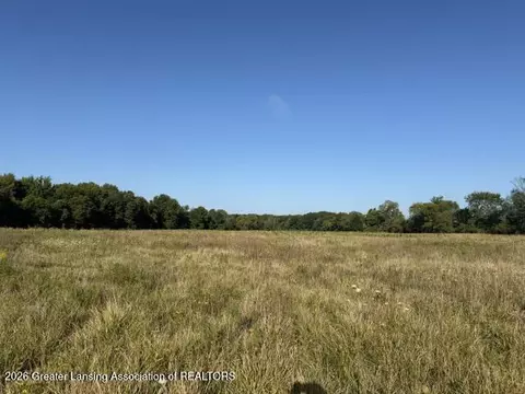 12260 S Wacousta Rd, Eagle, MI 48822 photo 5