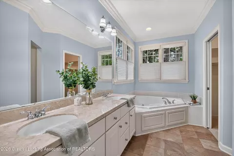 Bath - 13201 Watercrest Dr, Dewitt, MI 48820 photo 4 of 5