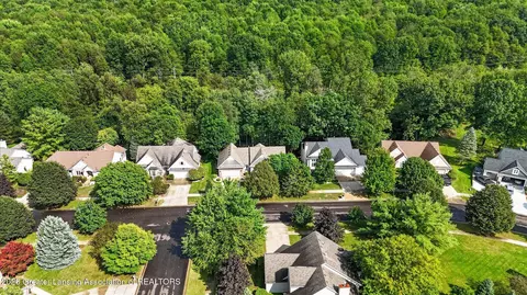 View/Area - 13201 Watercrest Dr, Dewitt, MI 48820 photo 10 of 14