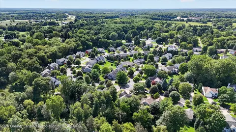 View/Area - 13201 Watercrest Dr, Dewitt, MI 48820 photo 13 of 14