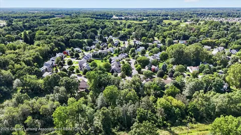 View/Area - 13201 Watercrest Dr, Dewitt, MI 48820 photo 7 of 14