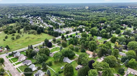 View/Area - 12916 Rambler Rd, Dewitt, MI 48820 photo 6 of 7