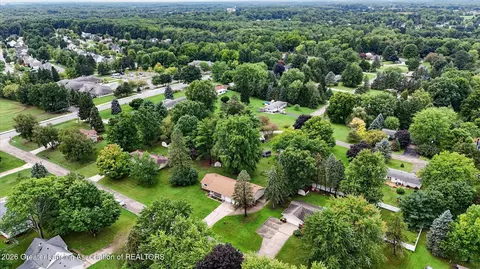 View/Area - 12916 Rambler Rd, Dewitt, MI 48820 photo 3 of 7