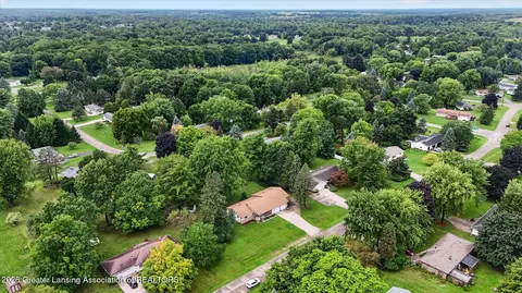 View/Area - 12916 Rambler Rd, Dewitt, MI 48820 photo 1 of 7