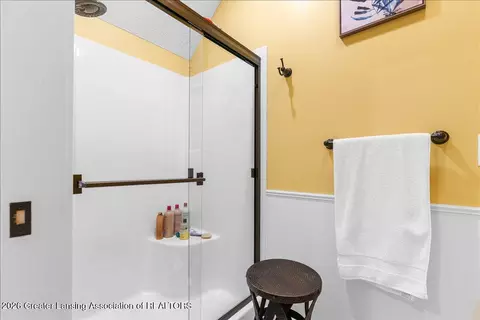 Other - 410 W Spring Meadows Ln, Dewitt, MI 48820 photo 18 of 28