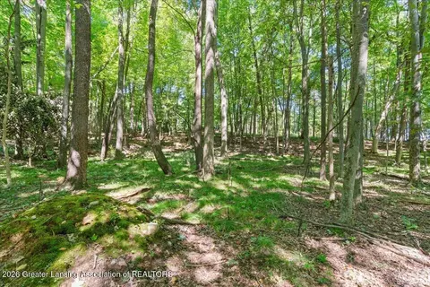 5663 Iosco Mountain Rd, Gregory, MI 48137 photo 25