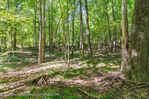 5663 Iosco Mountain Rd, Gregory, MI 48137 photo 26
