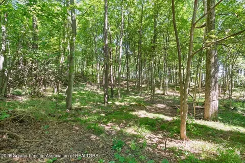5663 Iosco Mountain Rd, Gregory, MI 48137 photo 24