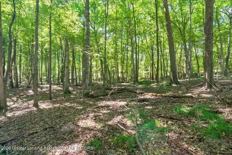 5663 Iosco Mountain Rd, Gregory, MI 48137 photo 3