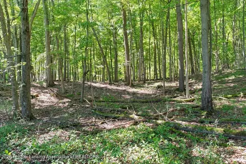 5663 Iosco Mountain Rd, Gregory, MI 48137 photo 4