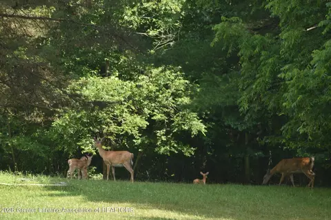 Other - 5816 W Britton Rd, Perry, MI 48872 photo 14 of 16