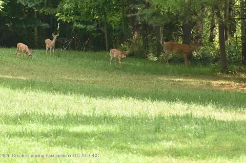 Other - 5816 W Britton Rd, Perry, MI 48872 photo 12 of 16