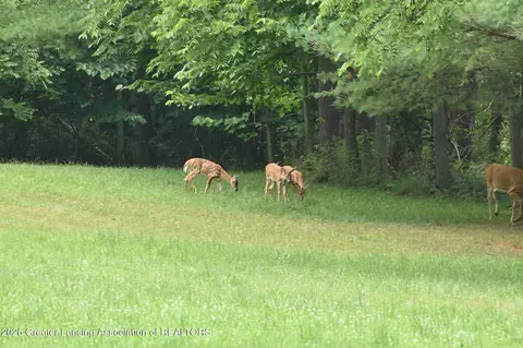 Other - 5816 W Britton Rd, Perry, MI 48872 photo 13 of 16