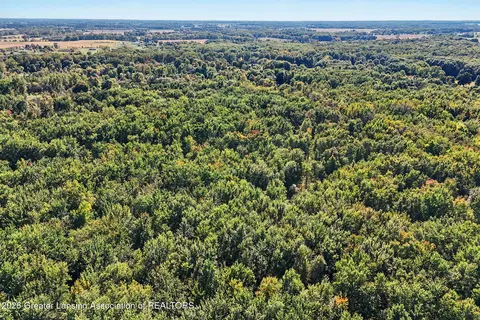 0 S Perkey Rd, Eaton Rapids, MI 48827 photo 11