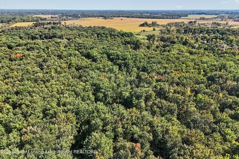 0 S Perkey Rd, Eaton Rapids, MI 48827 photo 8