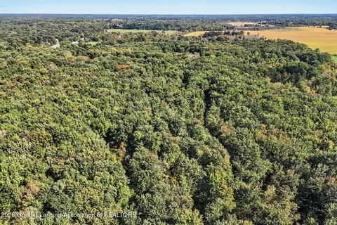 0 S Perkey Rd, Eaton Rapids, MI 48827 photo 6