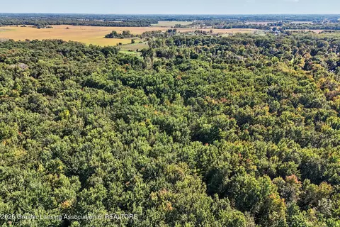 0 S Perkey Rd, Eaton Rapids, MI 48827 photo 9